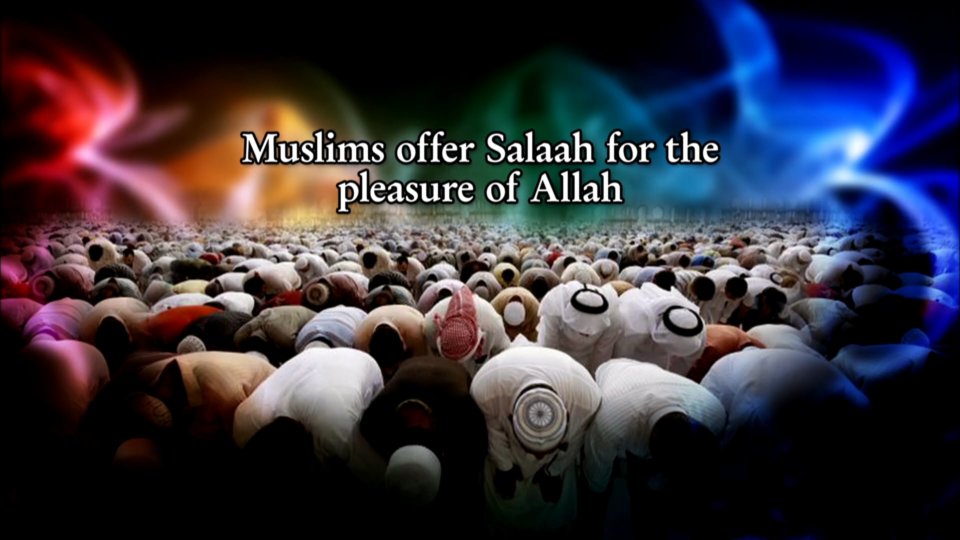 Muslims offer salaah for the pleasure of Allah