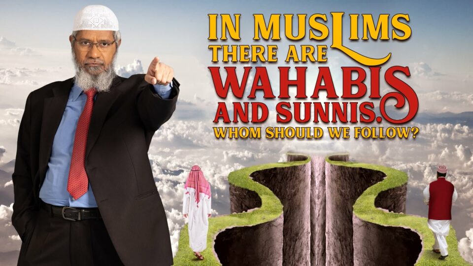 In Muslims there are Wahabis and Sunnis. Whom Should we Follow?